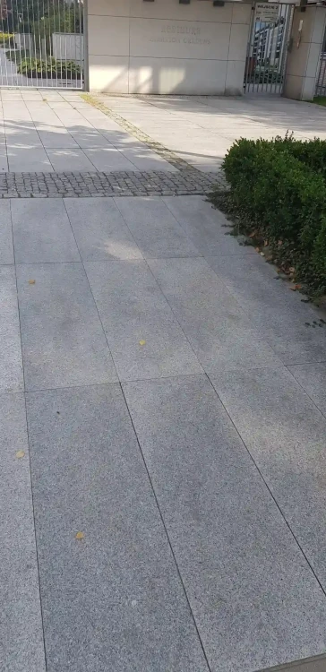 2636.