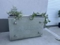 Donica betonowa personalizowana Hajduk 100x30x65 cm Szary