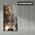 Fornir Kamienny Autumn Rustic XXL 122x280x0,2 cm Transparentny – zdjęcie 3