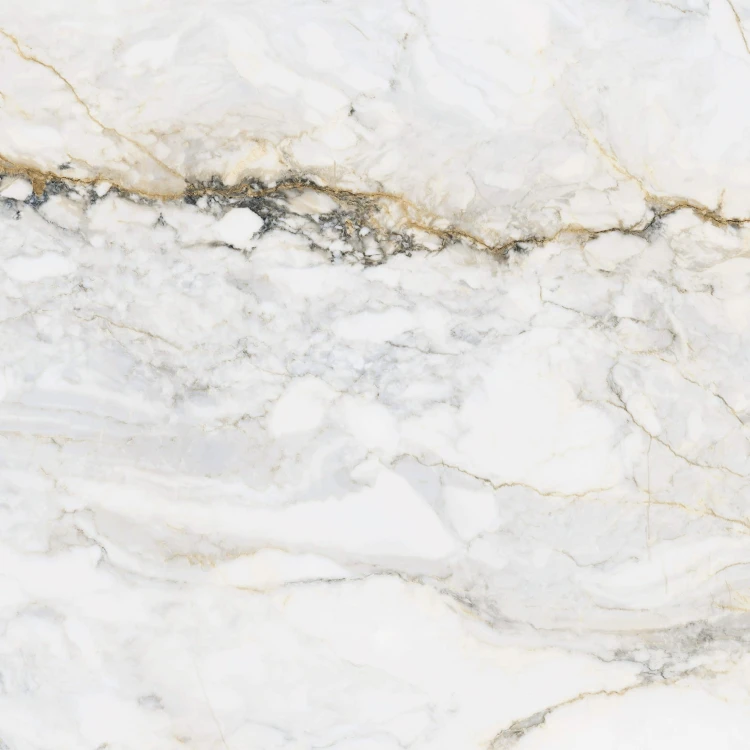 Gres Pisa Gold Mat (Calacatta Oro) 60x60x1 cm – zdjęcie 2