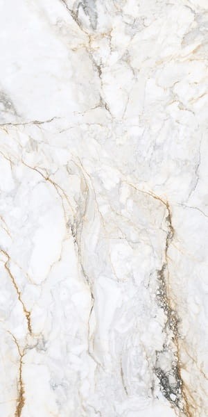 Pisa Golden White Mat (calacatta oro) 120x60x1 cm – zdjęcie 2