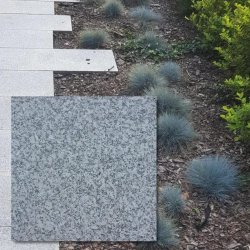 Płytka granitowa szara płomieniowana Bianco Sardo G602 60x60x5 cm
