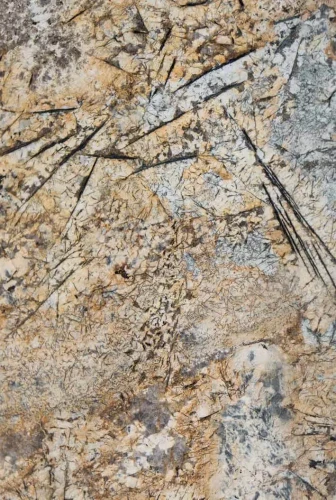 Granit Brazylijski Voragem Gold 2cm Poler - Slab – zdjęcie 2