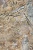 Granit Brazylijski Voragem Gold 2cm Poler - Slab – zdjęcie 2