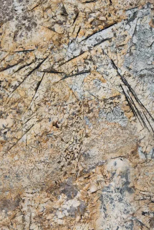 Granit Brazylijski Voragem Gold 2cm Poler - Slab – zdjęcie 2