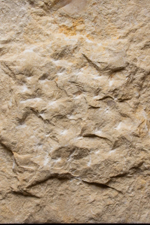Tiles Kamień dekoracyjny Pure Sunny Free Length 7x20-40 beżowy