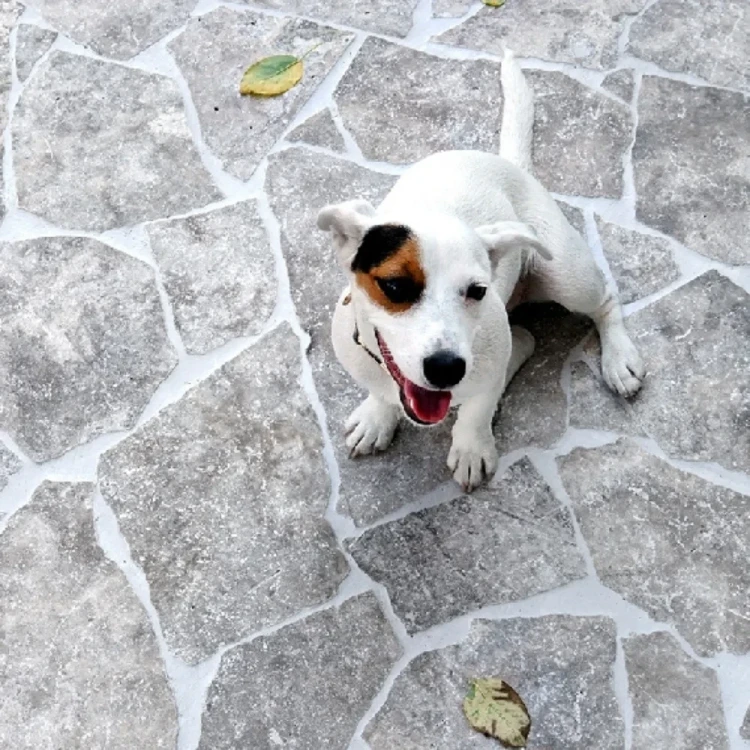 Płytka kamienna trawertynowa Tiles Dzikówka Crazy Paving Silver Bębnowana 3 cm szary – zdjęcie 2