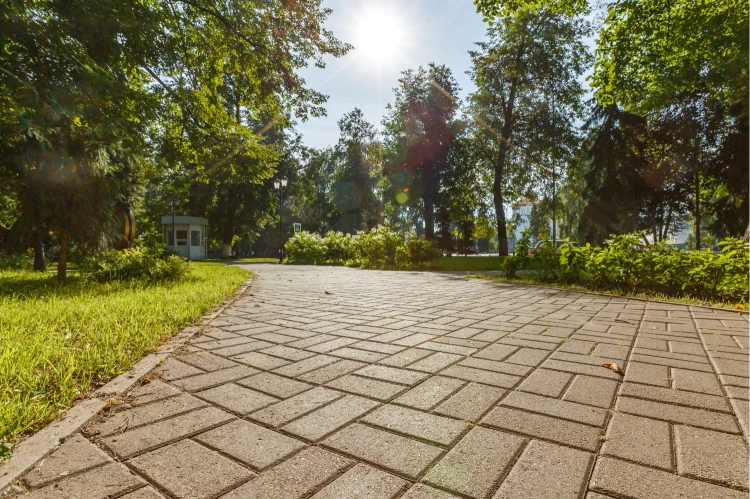 Pater Holland kostka brukowa 8 cm grafit